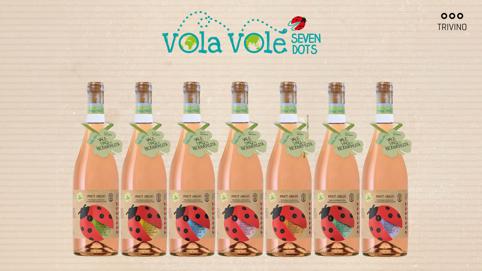 VOLA VOLE SEVEN DOTS Pinot Grigio 0,75l